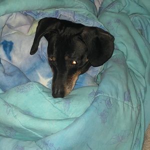 Meet your Posher, Cole